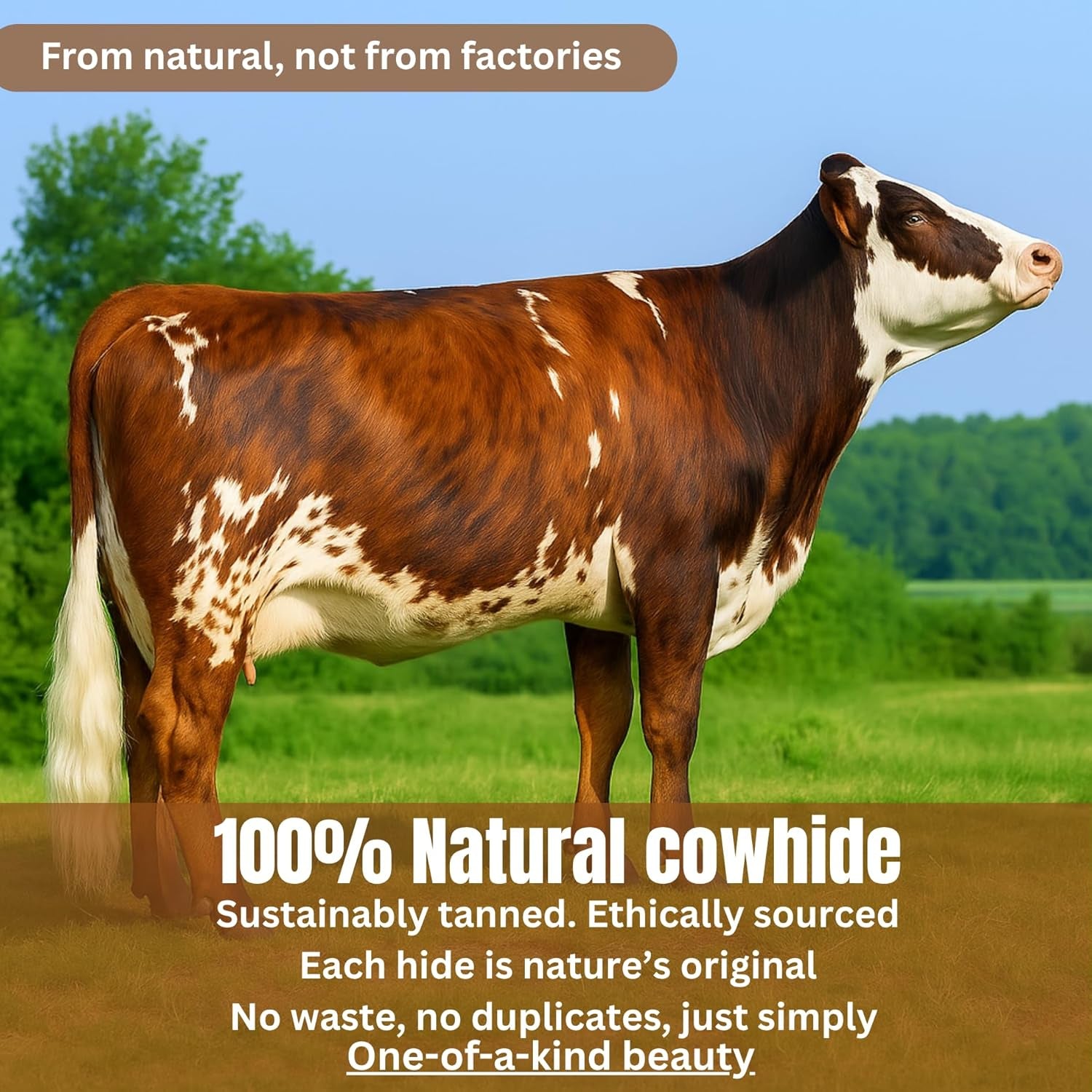Genuine Cowhide Rug: Real Animal Print Rug for Western Home Decor & Rustic Cow Rugs for Living Room - Hand-Picked Western Rugs, 6X7Ft - Unique Country Style Hide Decor - Brindle Nutella