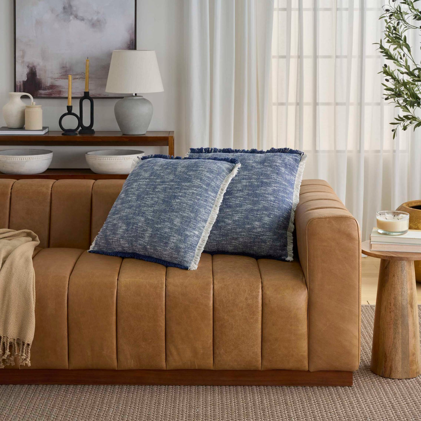 2-Pack Throw Pillows
