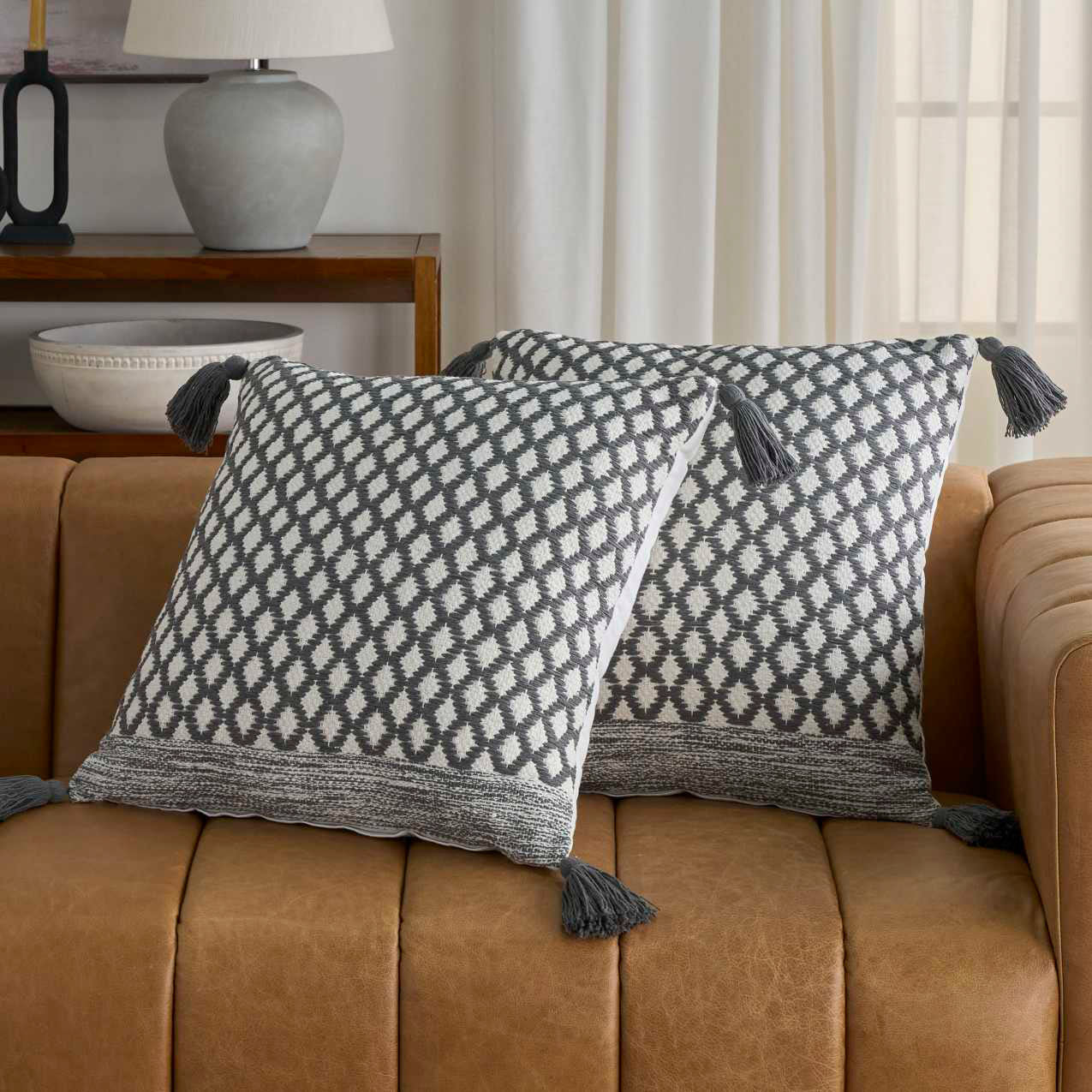 2-Pack Throw Pillows