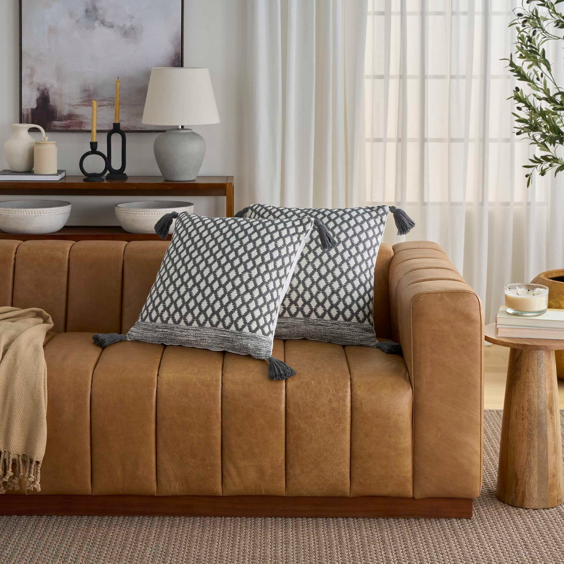 2-Pack Throw Pillows