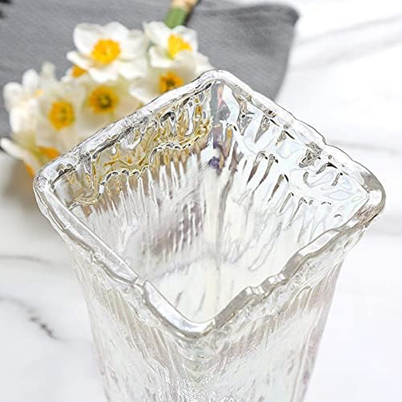 Clear Vase Thickened Glass Vase 9.45Inch Flower Vase for Home Decor Wedding Office Tabletop or Gift (Clear)